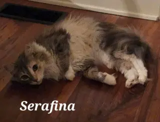 Serafina