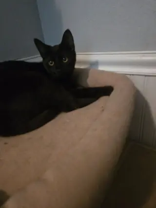 Salem