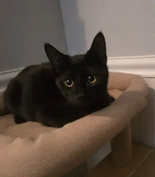 Salem