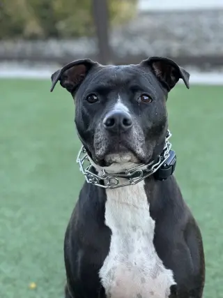 TUCKER #9
