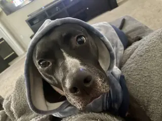 TUCKER #9