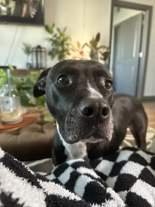 TUCKER #9