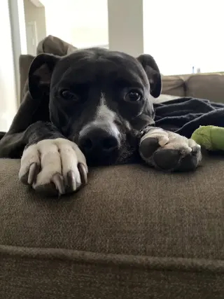 TUCKER #9