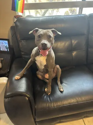 Penny (Penelope)