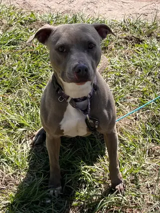 Penny (Penelope)