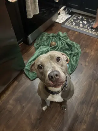 Penny (Penelope)