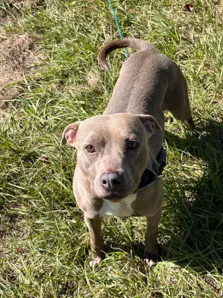 Penny (Penelope)
