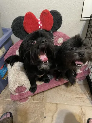 Teddy & Bear 2