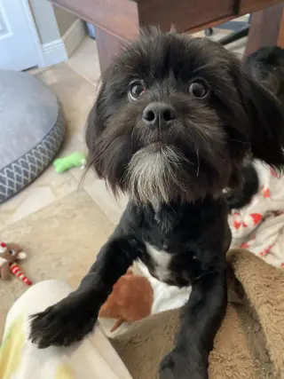 Teddy & Bear 2