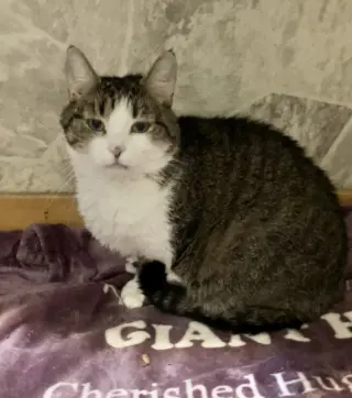 Lena