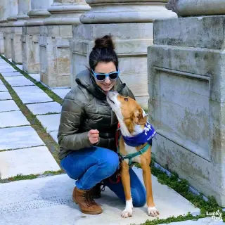 Zena