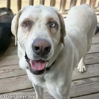 Princess in TN - An Active Sweetheart!