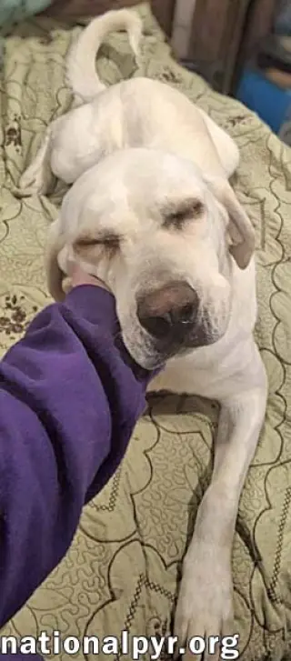 Princess in TN - An Active Sweetheart!