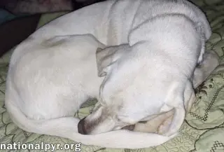 Princess in TN - An Active Sweetheart!