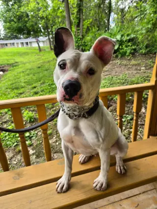 Ruby
