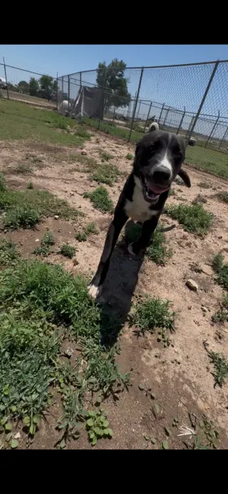 Tucker