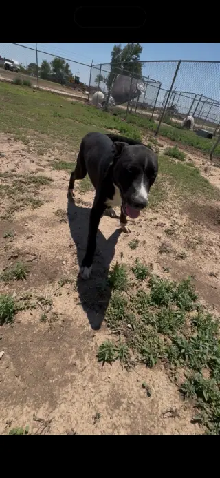 Tucker