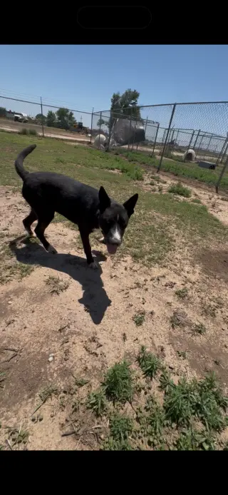 Tucker