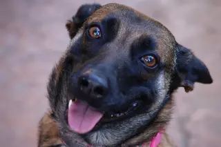 Cheyenne