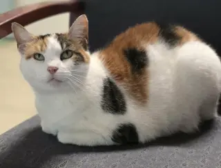 Kim