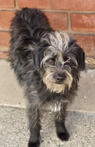 Duke