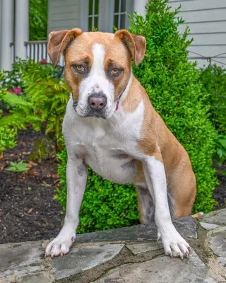 RUTHIE