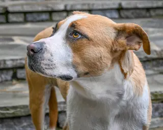 RUTHIE