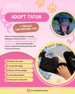 Tator