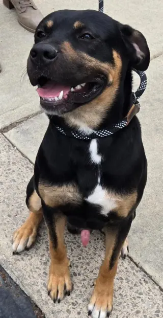 Rudy