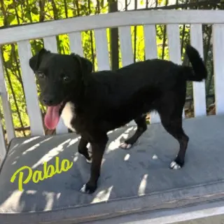 Pablo #ball-of-energy