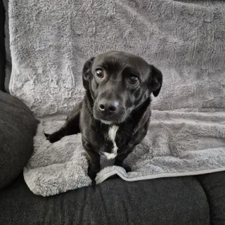 Luke II (New Digs)