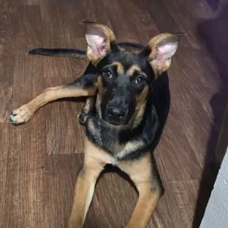 Riley III (New Digs)