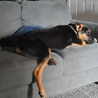 Riley III (New Digs)