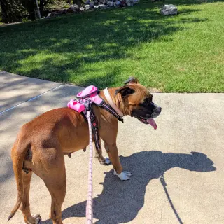 Shelby Grace (New Digs)