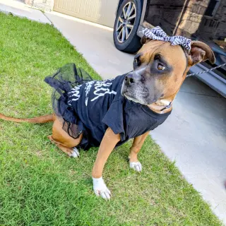 Shelby Grace (New Digs)
