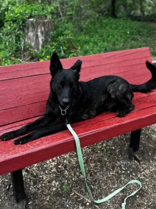 Inky - Located in VA