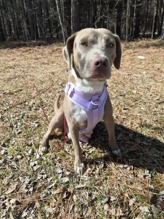 Zoey