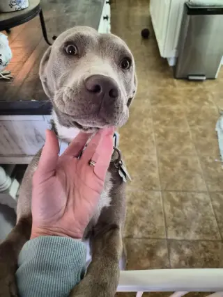 Zoey
