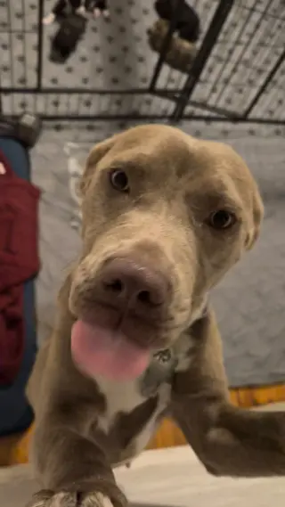 Zoey