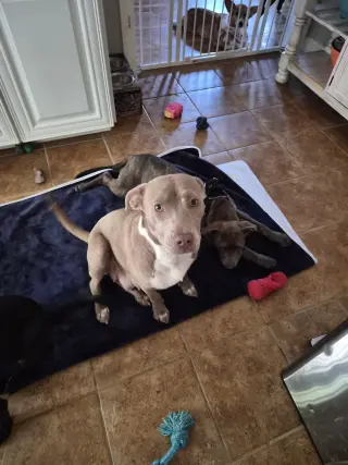 Zoey
