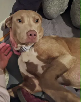 Zoey