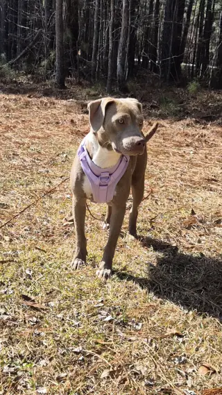 Zoey