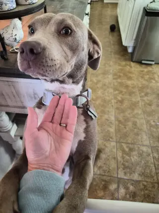Zoey