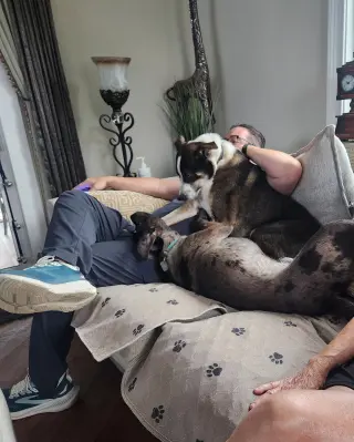 Dominic - playful goof