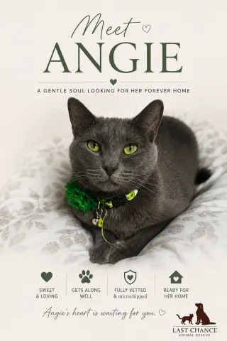 ANGIE