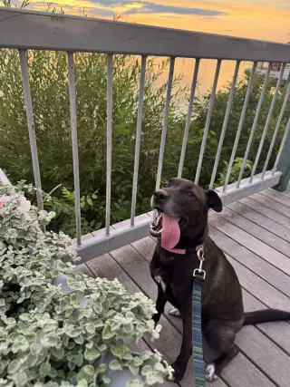 Luna