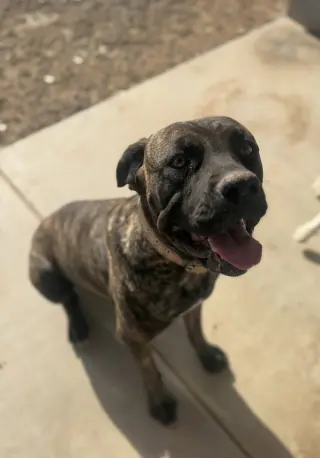 KILA