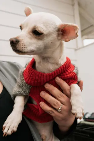 Benny