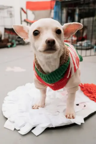 Benny