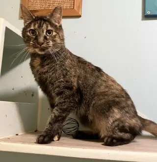 Clover (bonded to Mary)
